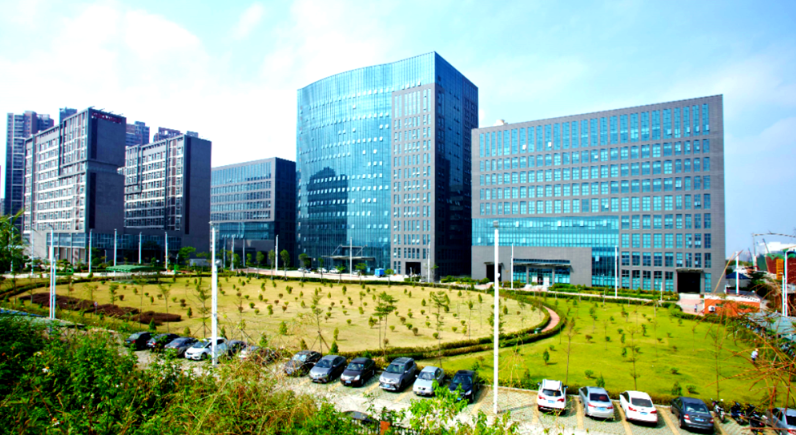 开封豫景园艺：市政景观绿化工程施工全流程规范解析